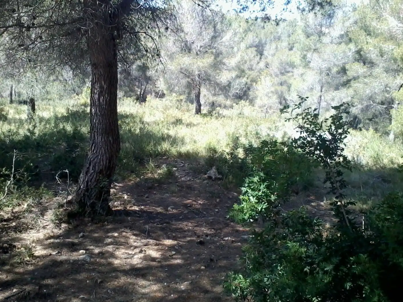 Terreny residencial en venda a La Bisbal del Penedès, imagen 3