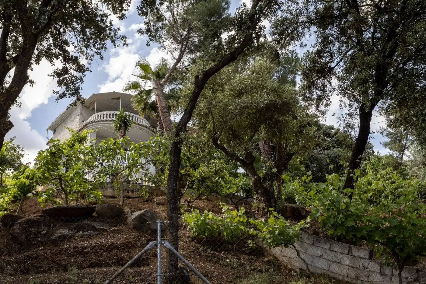 Vista exterior de Casa o chalet en venta en Dúdar con Aire acondicionado, Calefacción y Jardín privado