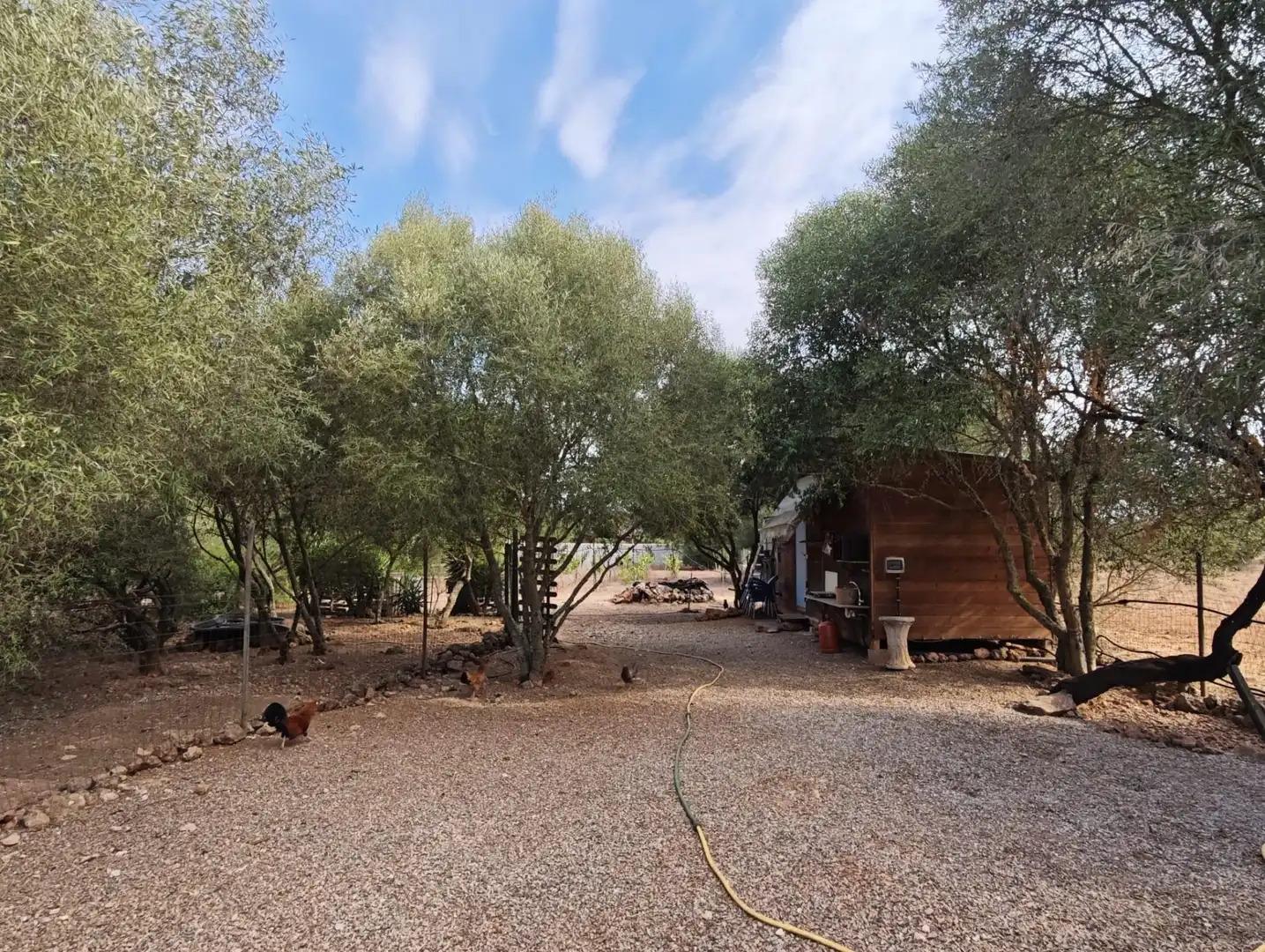 Jardín de Casa o chalet en venta en Algaida