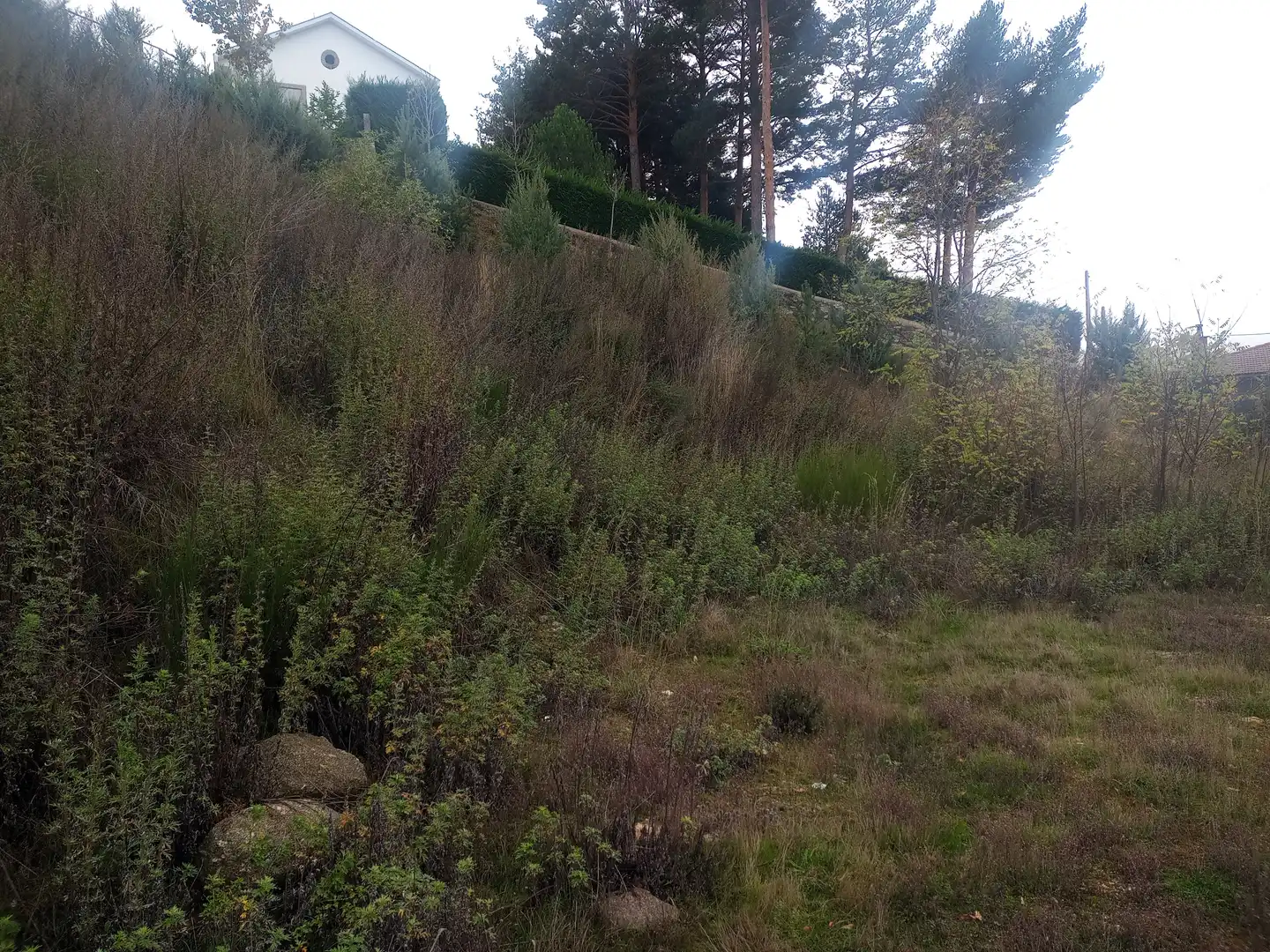 Residencial en venta en Hoyos del Espino