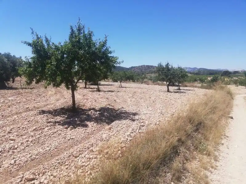Lands and plots for sale in El Poste Partido De Collado Del Rey 176, imagen 4