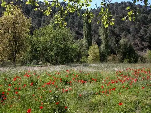 Terreni e lotti in vendita a Santiago Huertas 2-4, imagen 4