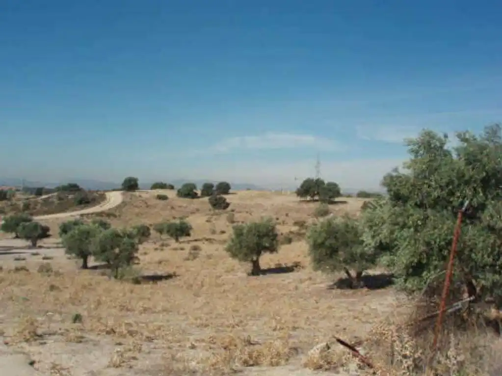 Terreno en venta en Sevilla la Nueva