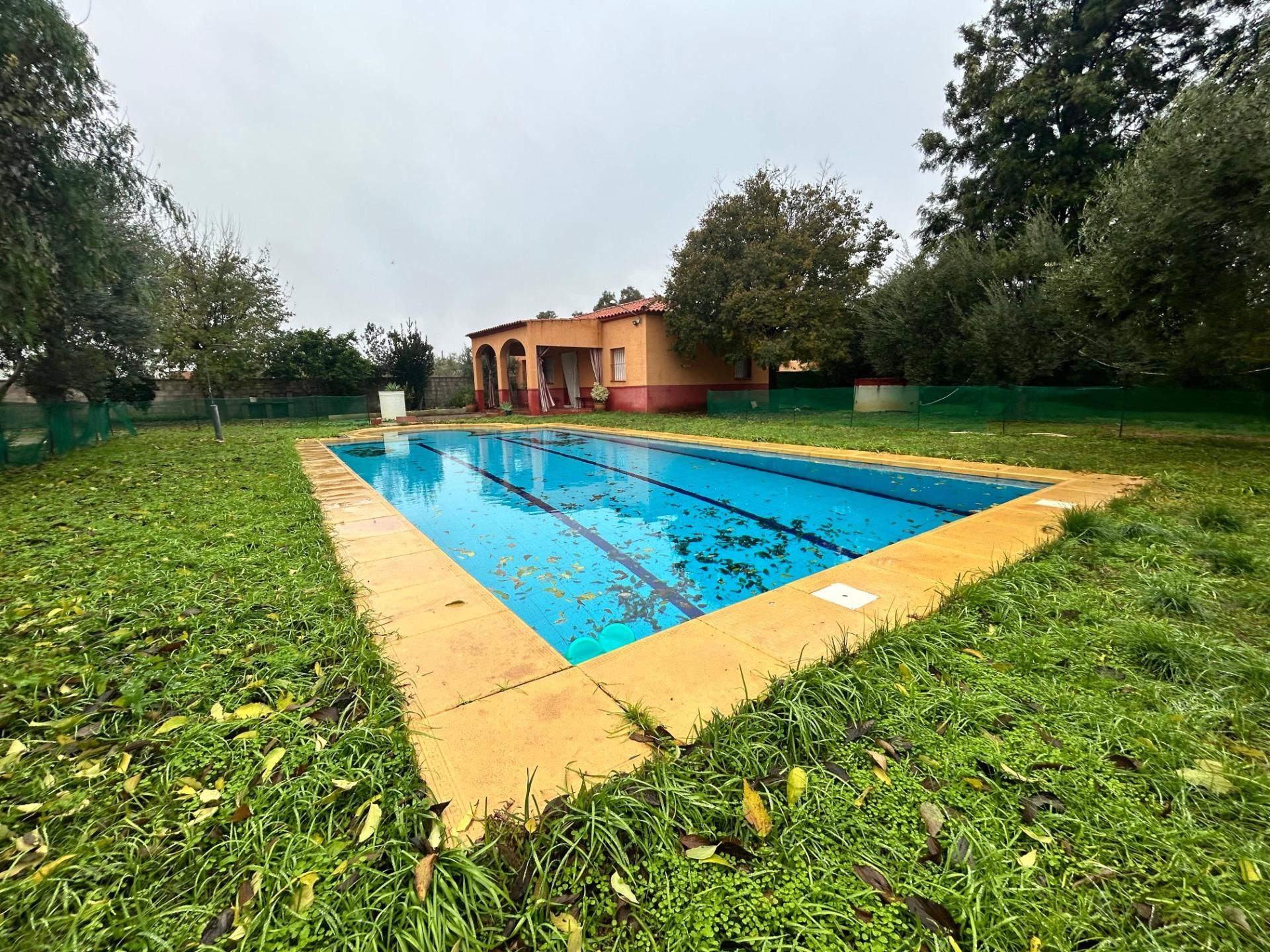 Piscina de Finca rústica en venda en Marchena