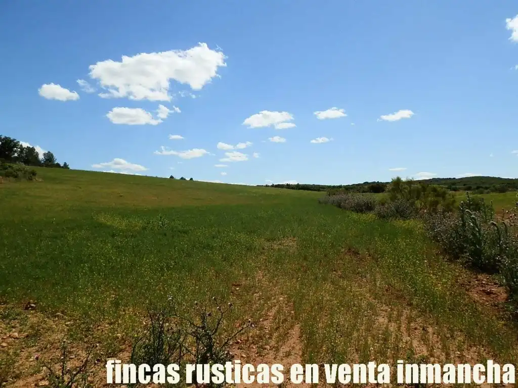 Terreni e lotti in vendita a La Milagrosa, imagen 12
