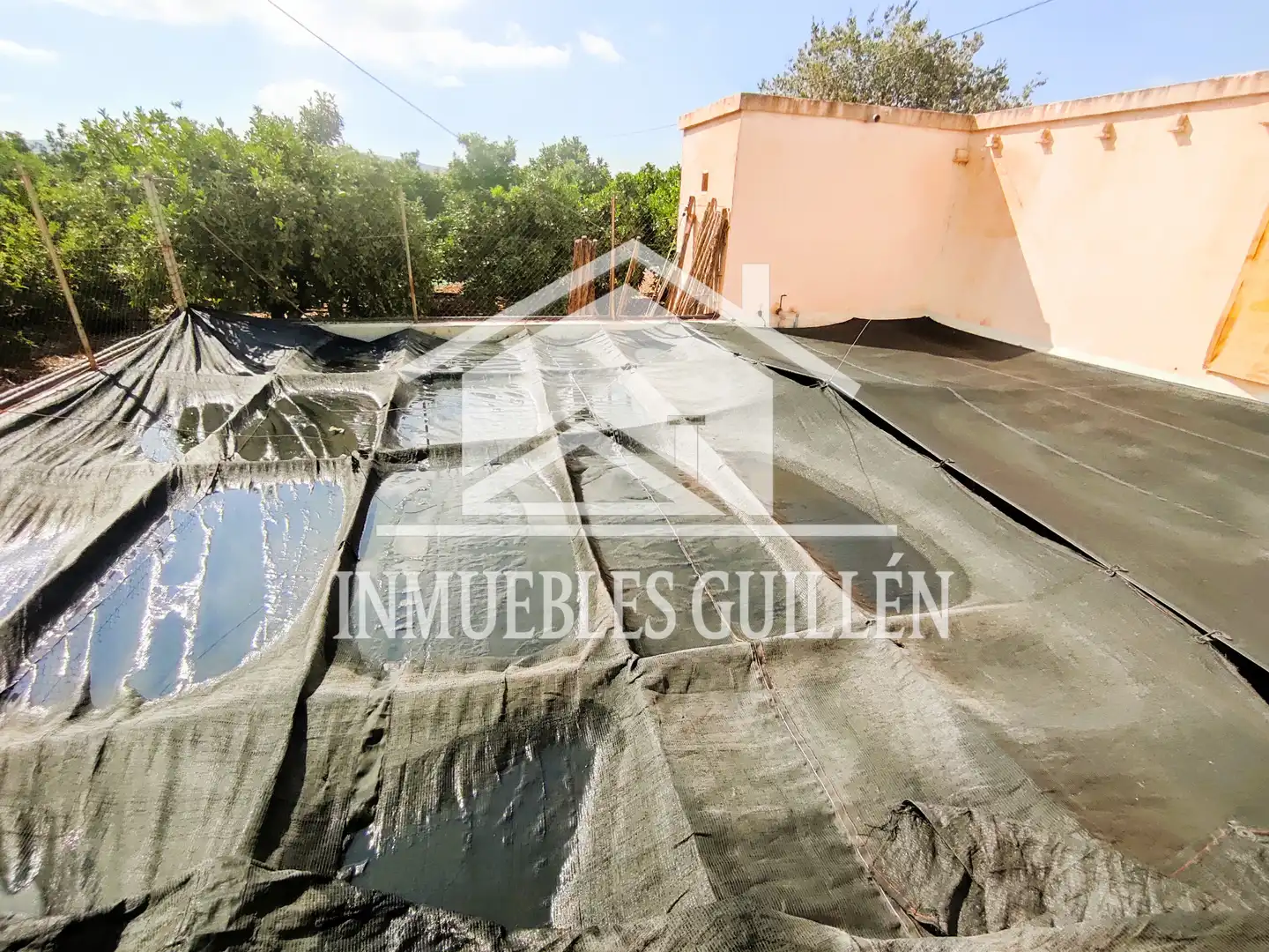 Jardí de Casa o xalet en venda en Berja amb Aire condicionat, Jardí privat i Terrassa