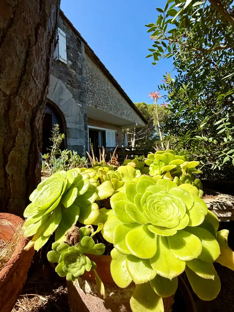 Jardín de Finca rústica en venta en Sant Feliu de Guíxols con Aire acondicionado, Calefacción y Jardín privado
