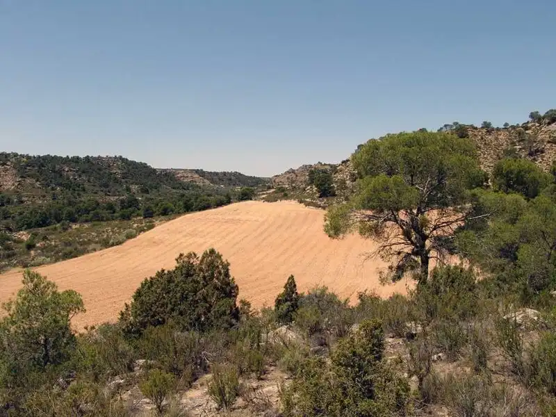 Finca rústica en venta en Alcañiz