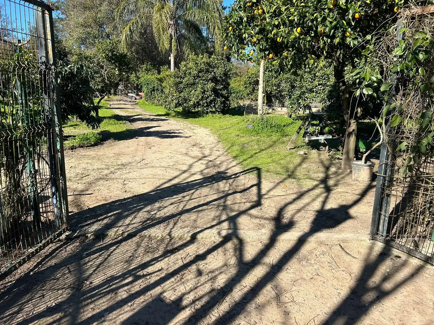 Casa rústica amb jardí en venda a Calle Pasada de Alcalá, imagen 13