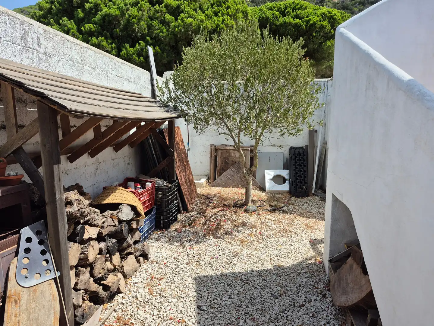 Garden of Country homes for sale in Barbate  with Terrace