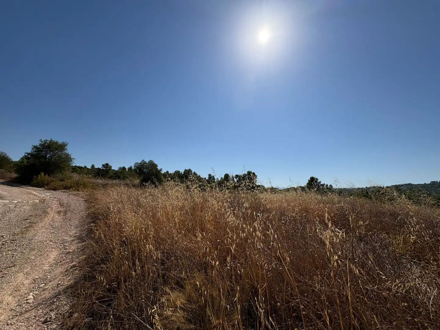 Terreno rustico in vendita a Cervià de Les Garrigues, imagen 33