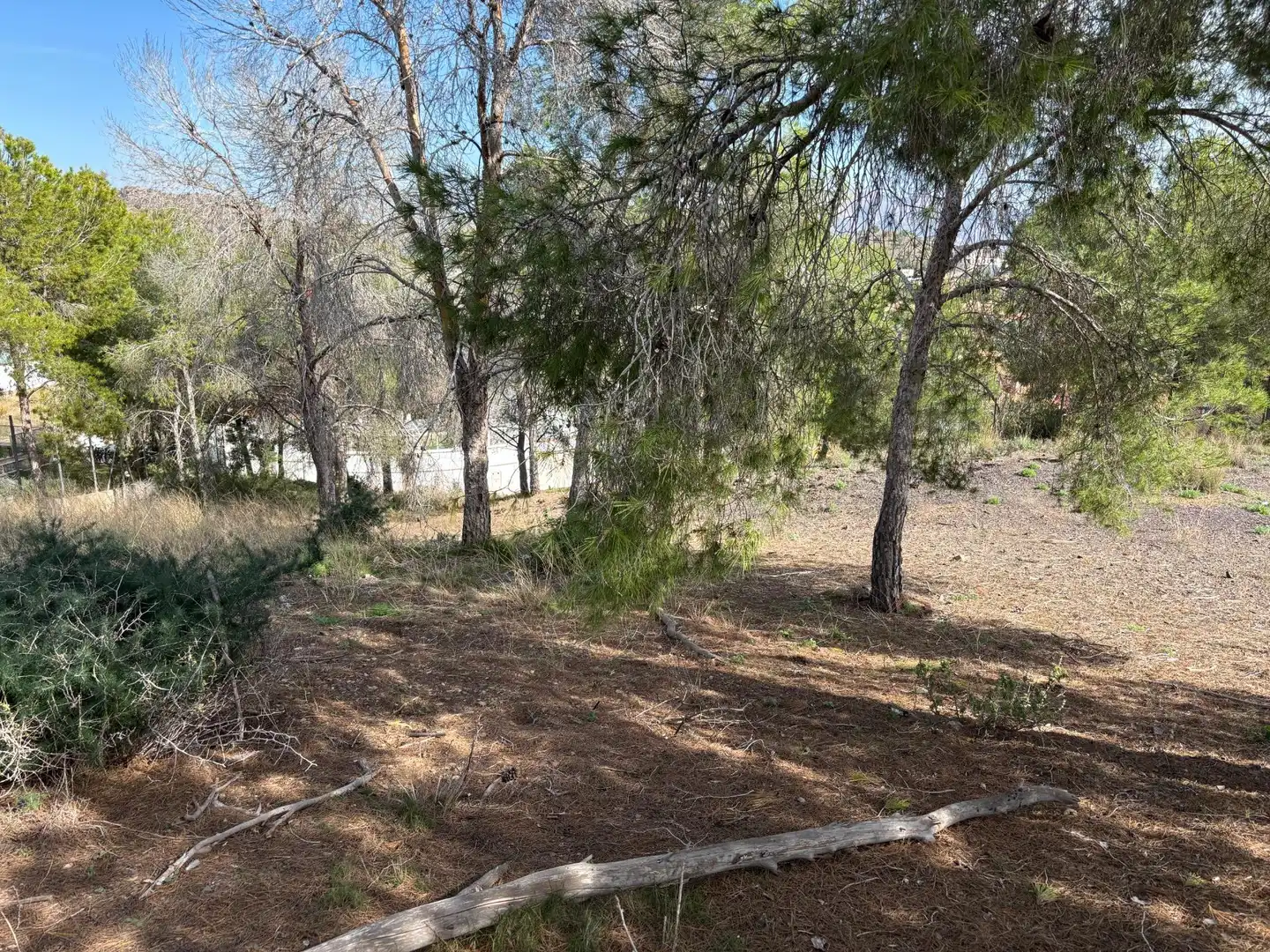 Residencial en venda a El Esparragal