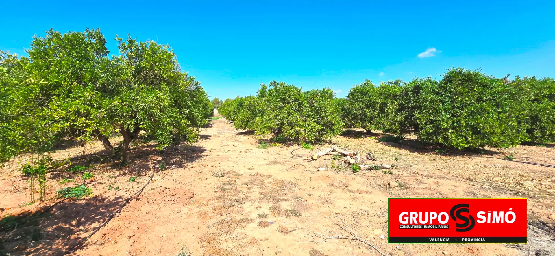 Terreno en venta en Náquera