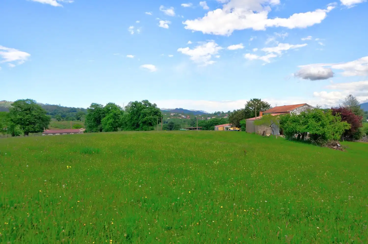 Casa o chalet en venta en Nava con Piscina