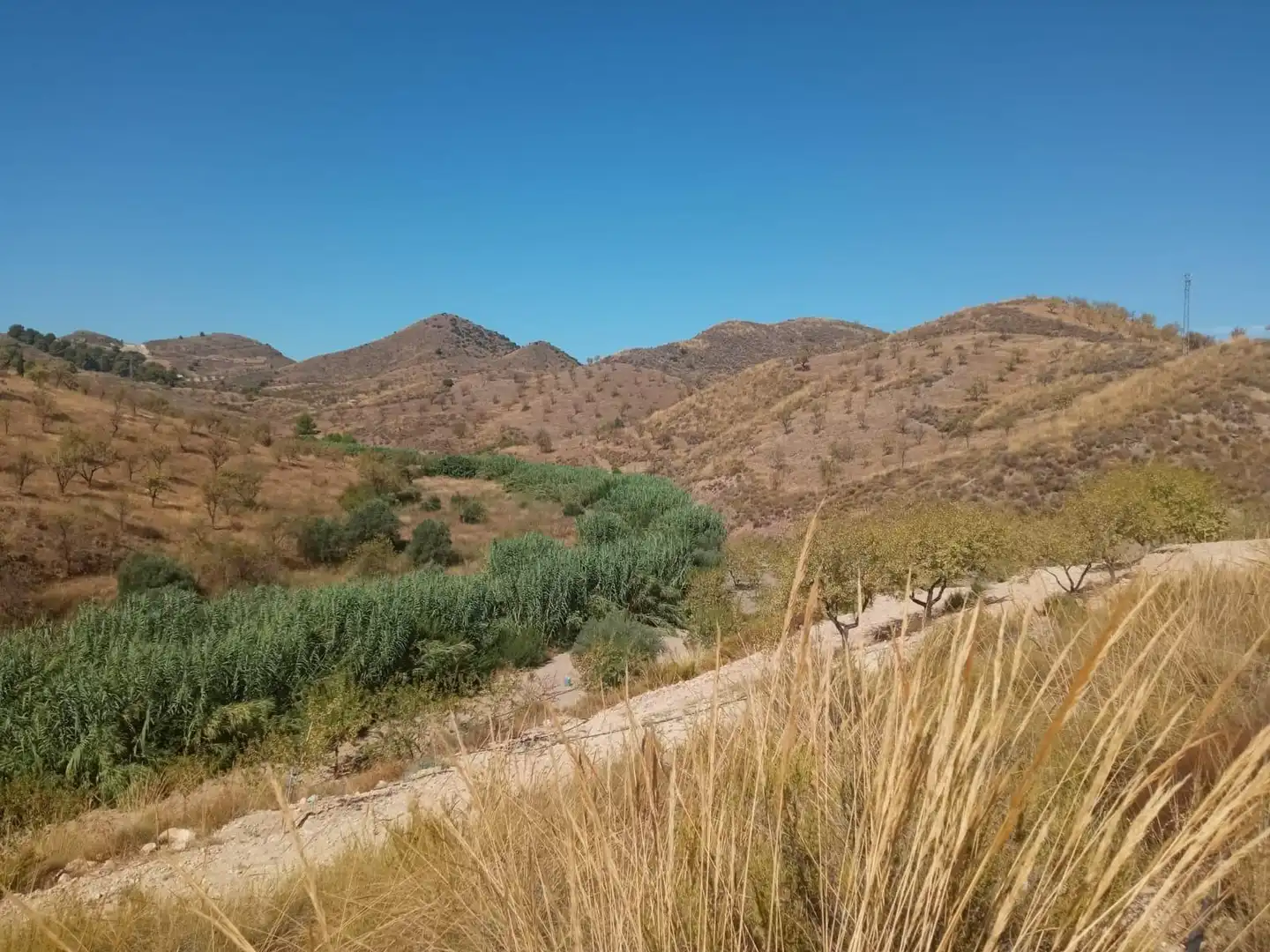 Terrains et parcelles à vendre à Pedanías Norte, imagen 16
