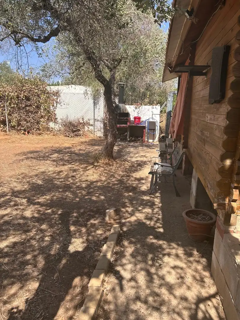 Rural land for sale in Pilas, imagen 22