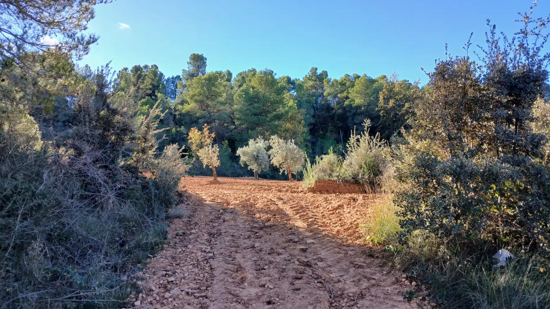 Terreno rustico in vendita a N/A