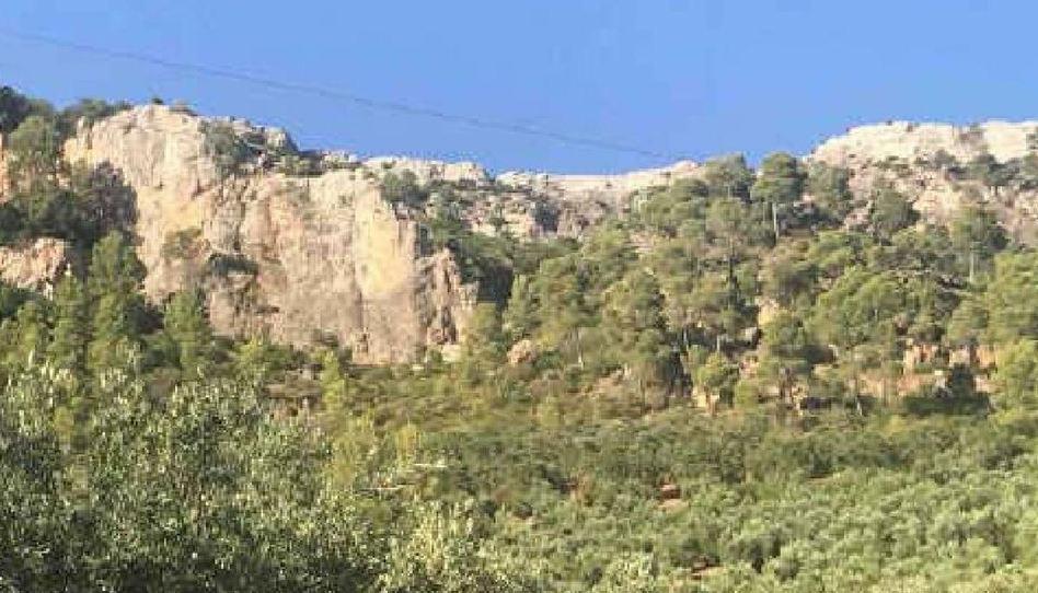 Foto 1 de Terreno en venta en N/a, Villanueva del Arzobispo, Jaén