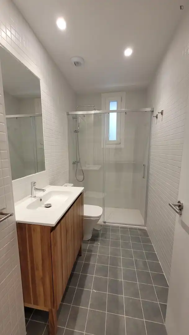 Bany de Apartament de lloguer en  Madrid Capital amb Aire condicionat, Moblat i Forn