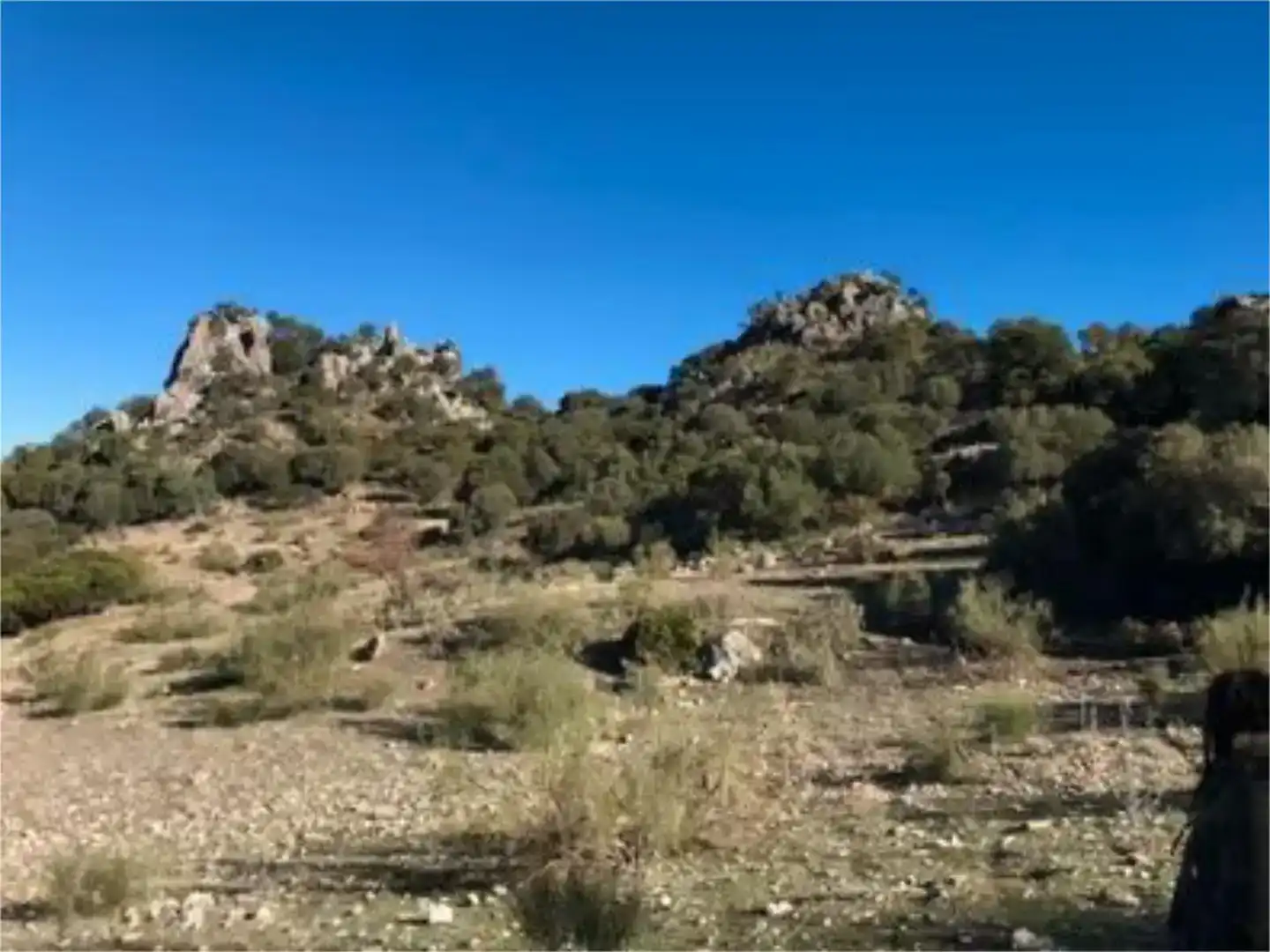 Finca rústica en venda en Algodonales