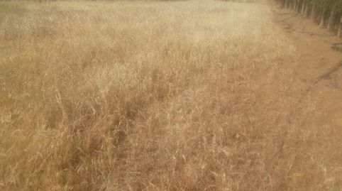 Photo 4 of Residential for sale in La Zarza (Badajoz), Badajoz