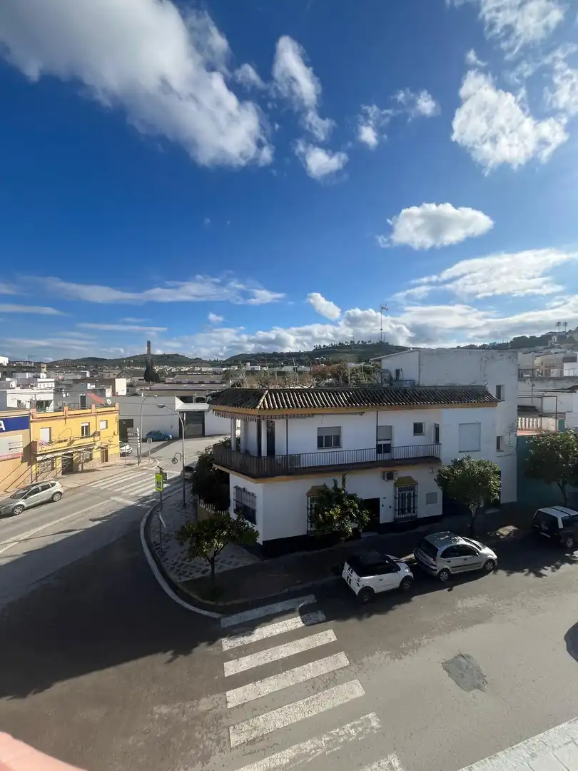 Exterior view of Houses for sale in Morón de la Frontera