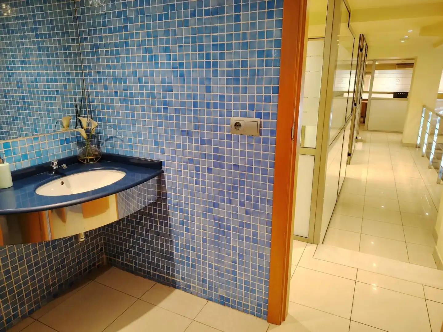 Büro zum Verkauf in Centro Urbano, imagen 28