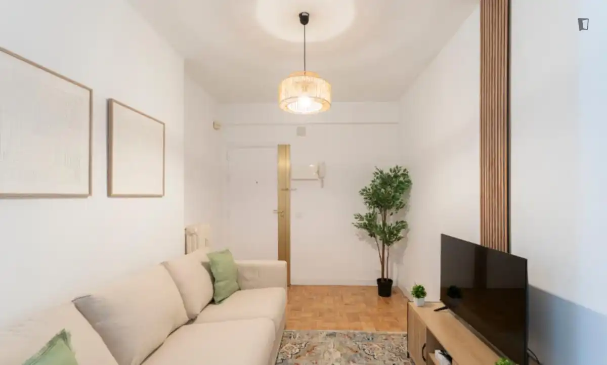 Wohnzimmer von Wohnungen zur untervermieten in Madrid mit Möbliert, Ofen und Waschmaschine