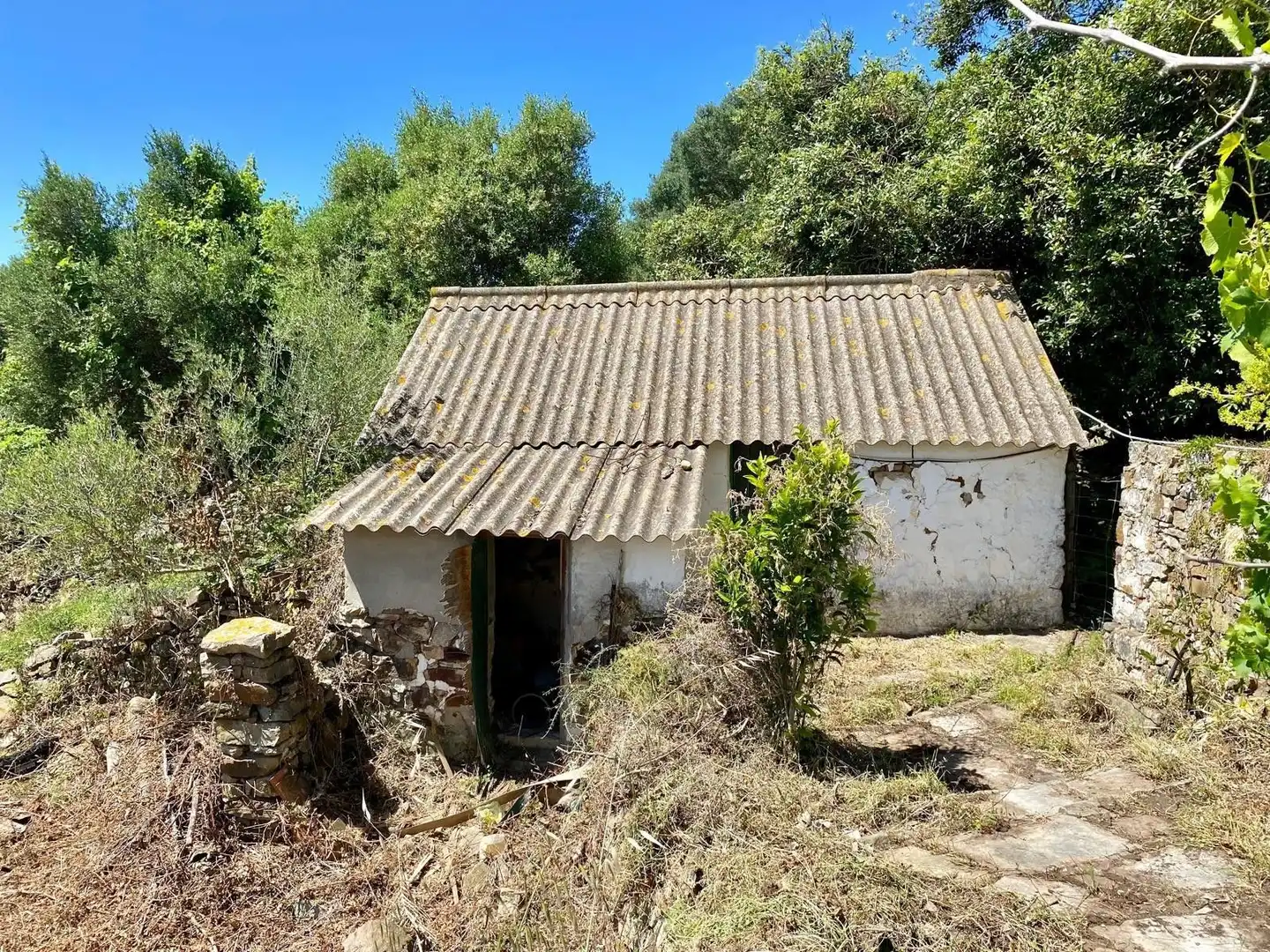 Finca rústica en venda a Tarifa ciudad