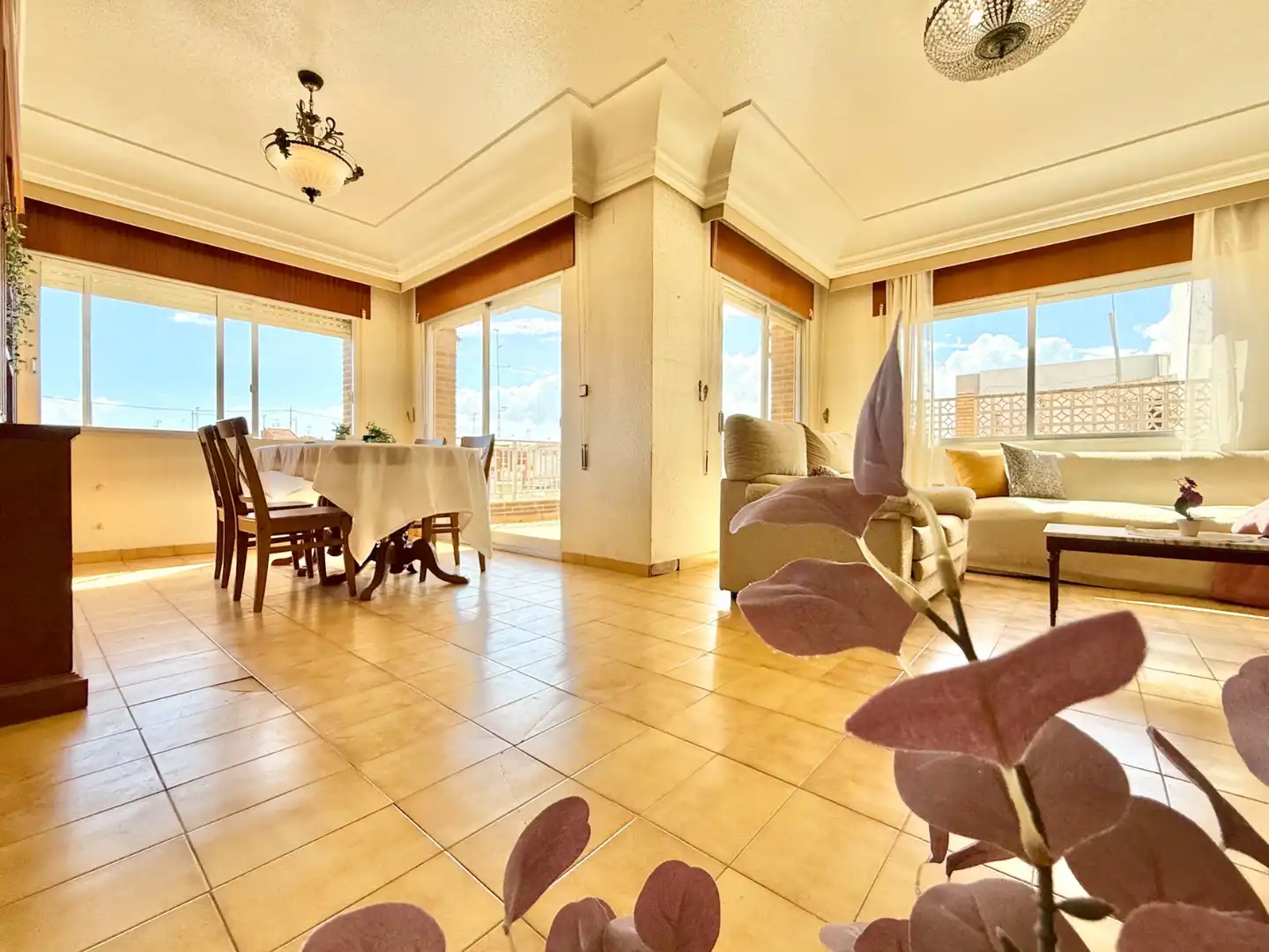 Maison avec terrasse à vendre à San Pedro del Pinatar, imagen 15