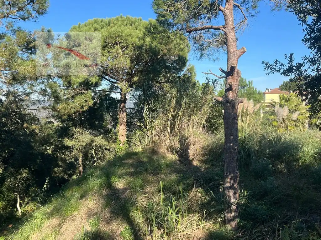 Wohnbaugrundstück zum Verkauf in Calle Roselles 29