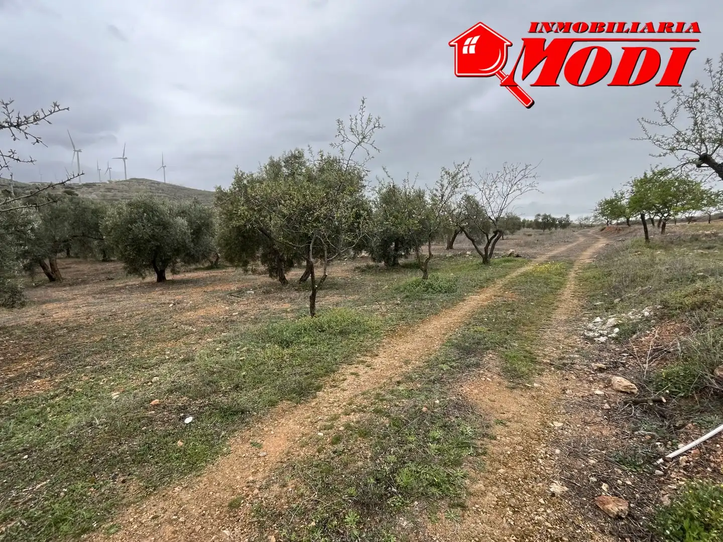 Residencial en venta en Albuñuelas
