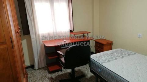 Foto 3 de Piso de alquiler en Oliveros - Altamira,  Almería Capital