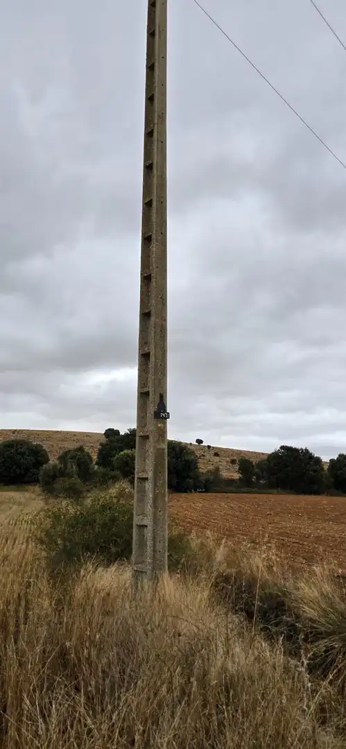 Exterior view of Land for sale in Garray