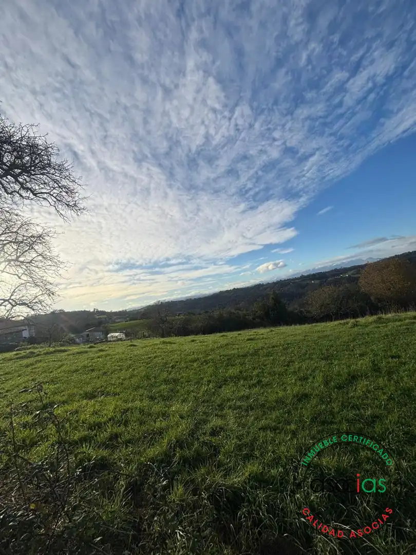 Land for sale in Siero