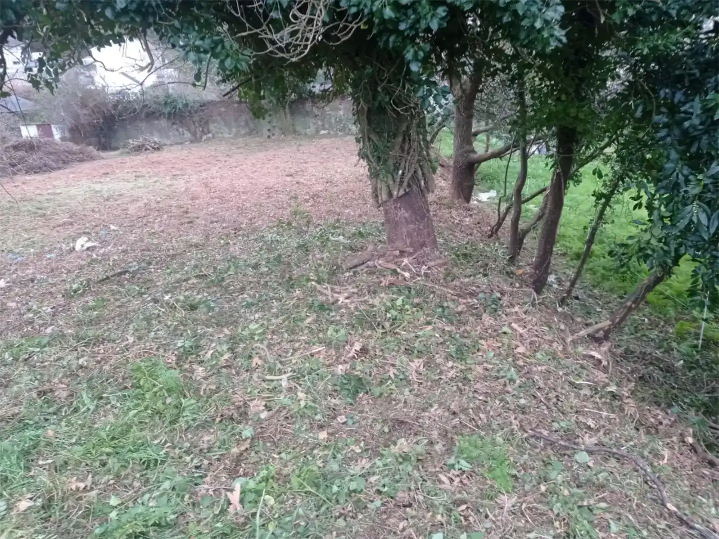 Residencial en venta en Viveiro