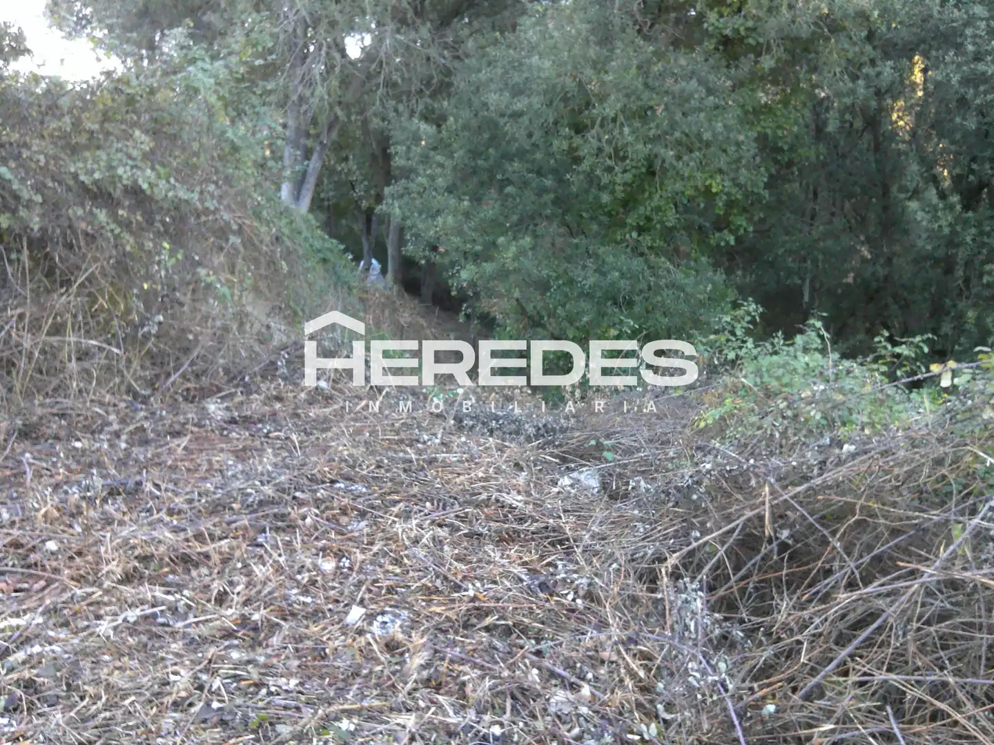 Terreno residencial en venta en Carrer Finestrelles 8, imagen 7