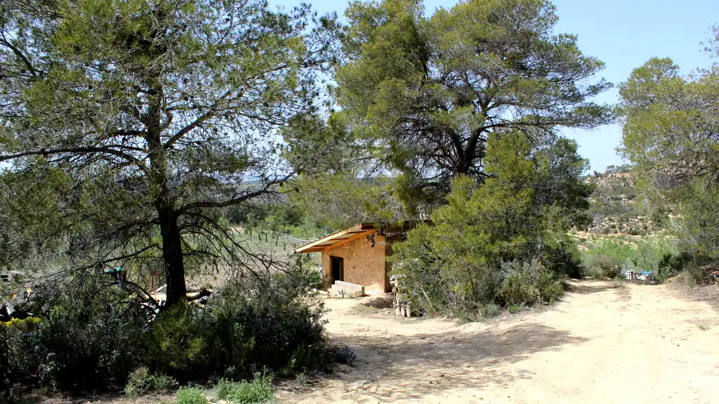 Jardí de Finca rústica en venda en Maella