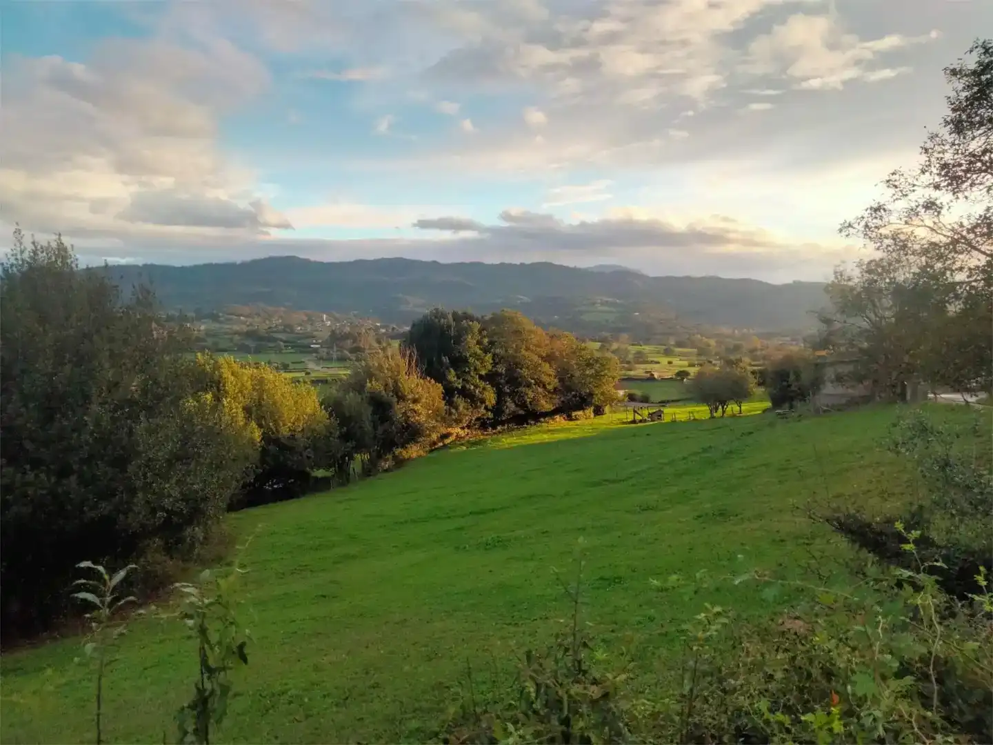 Casa o chalet en venta en Llanera
