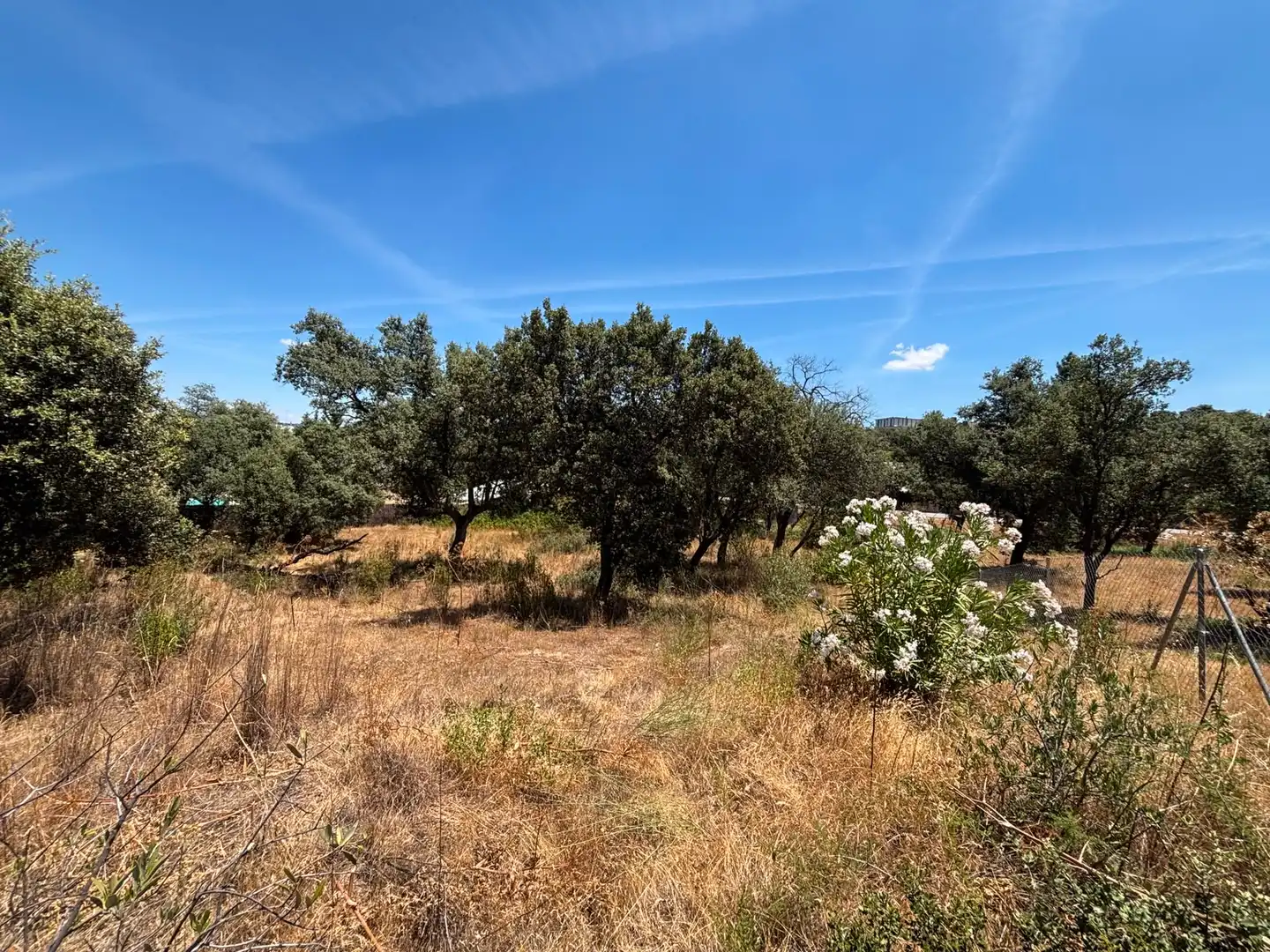 Residential land for sale in Paseo del Perú, imagen 13