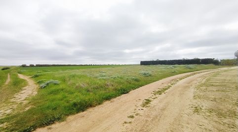 VENTA SUELO RUSTICO, ZONA EL VIVERO MÉRIDA, immagine 2