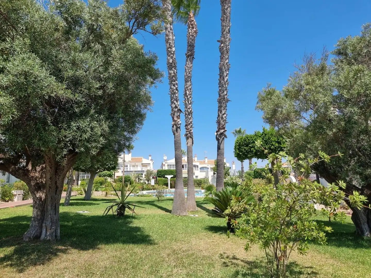 Apartment zum Verkauf in Los Balcones - Los Altos, imagen 4