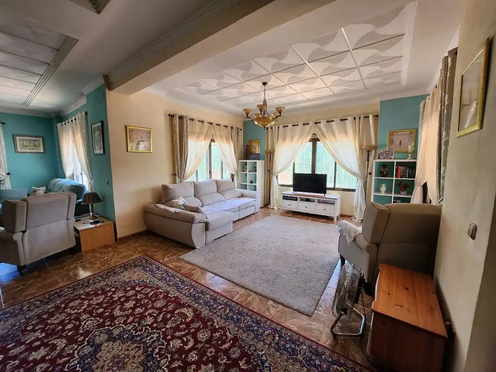 Sala de estar de Casa o chalet en venta en Jalance