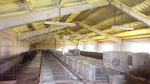 Foto 4 de Terreno industrial en venta en Lr-207, Rodezno, La Rioja