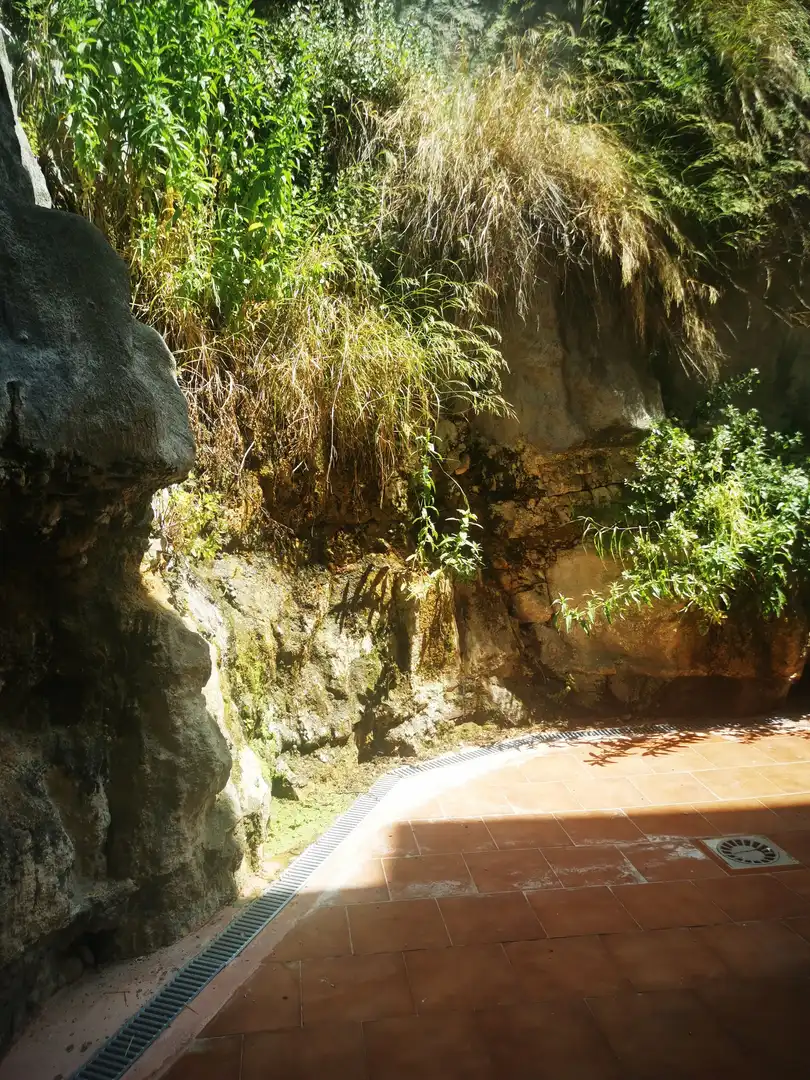 Jardín de Apartamento de alquiler en Salamanca con Calefacción, Parquet y Amueblado