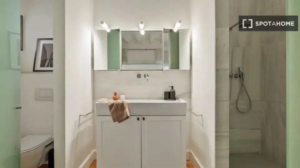 Bany de Apartament per a compartir en Barcelona amb Aire condicionat, Terrassa i Moblat