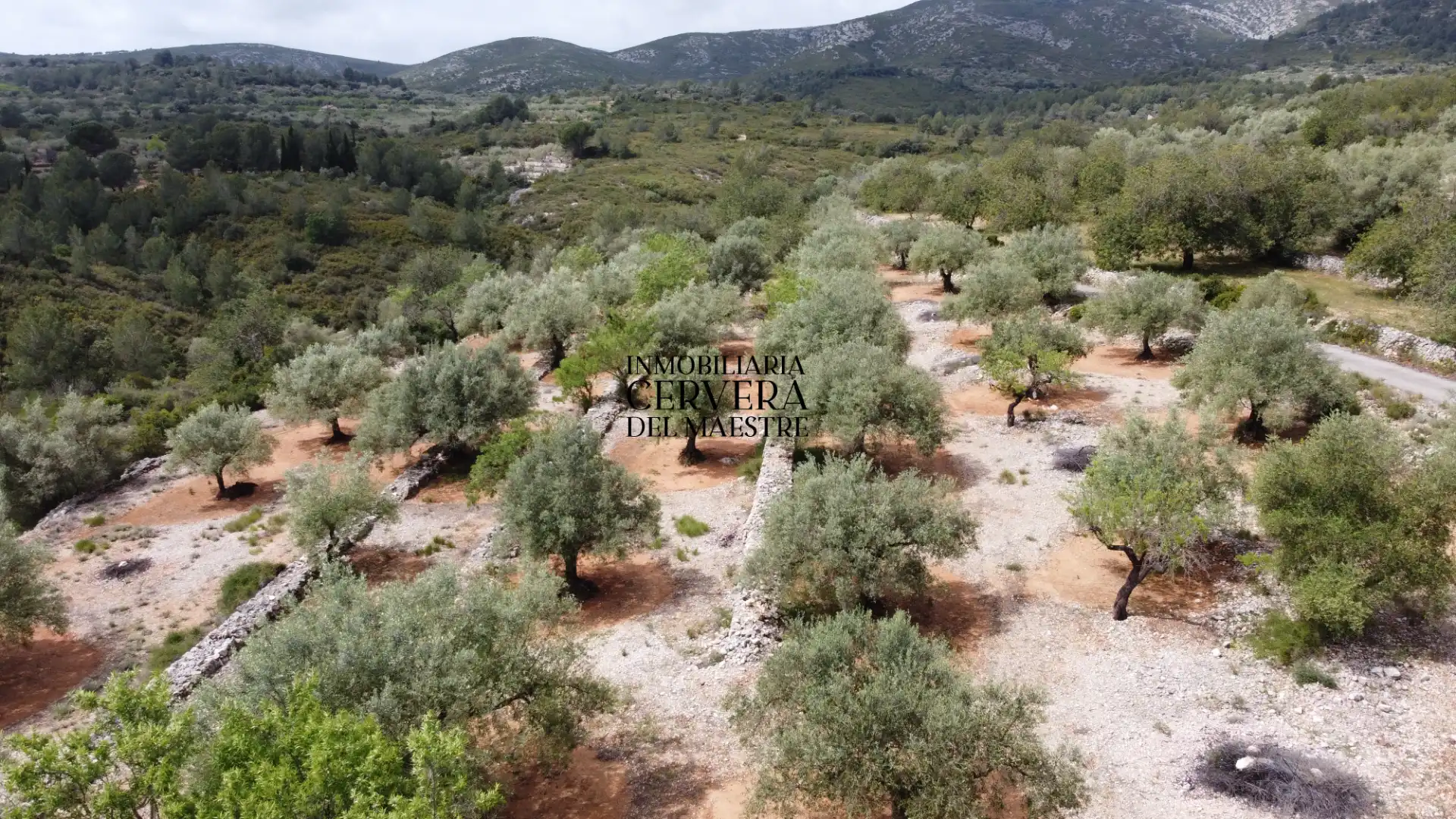 Terreno rustico in vendita a Cervera del Maestre, imagen 23