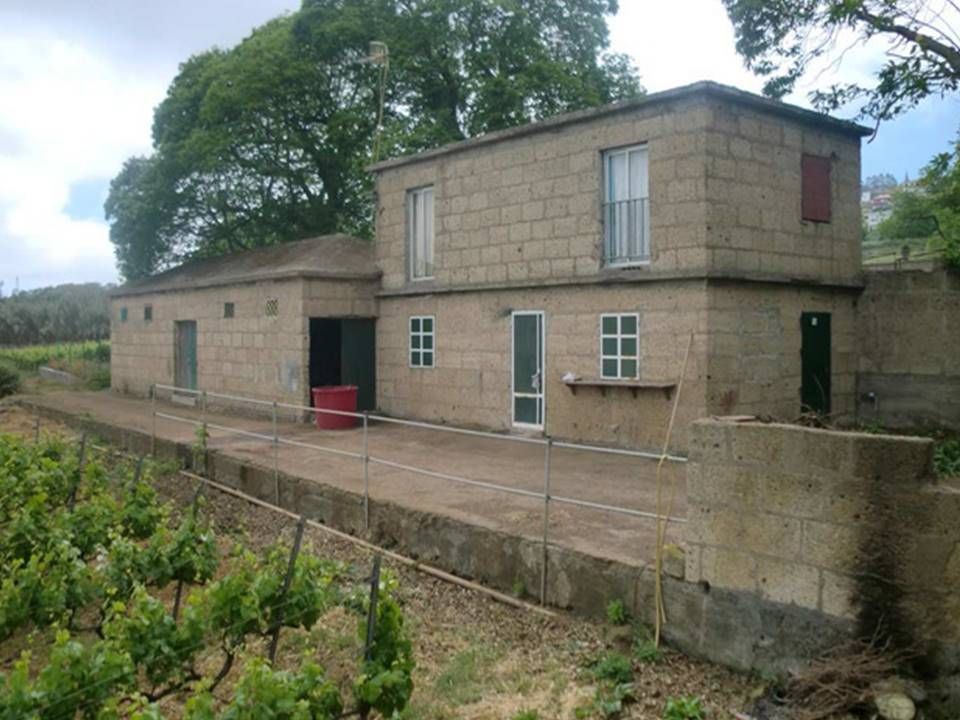 Vista exterior de Finca rústica en venda en Tacoronte amb Jardí privat i Traster