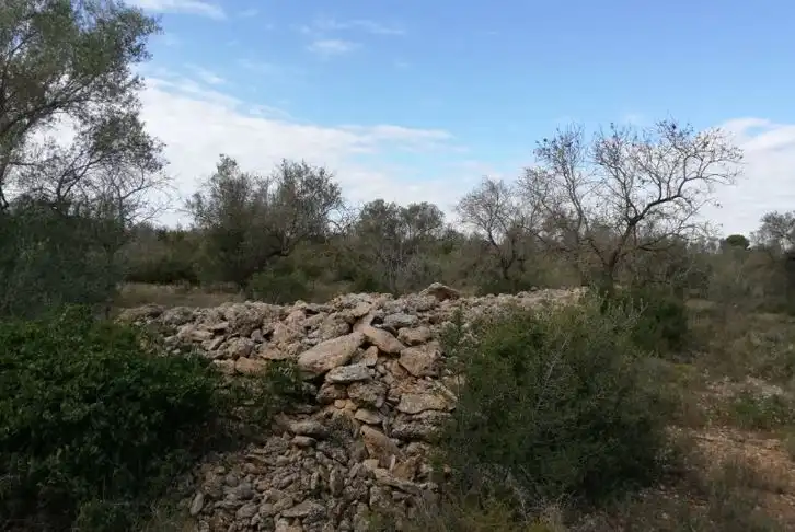 Residencial en venta en Polígono 9, San Rafael del Río