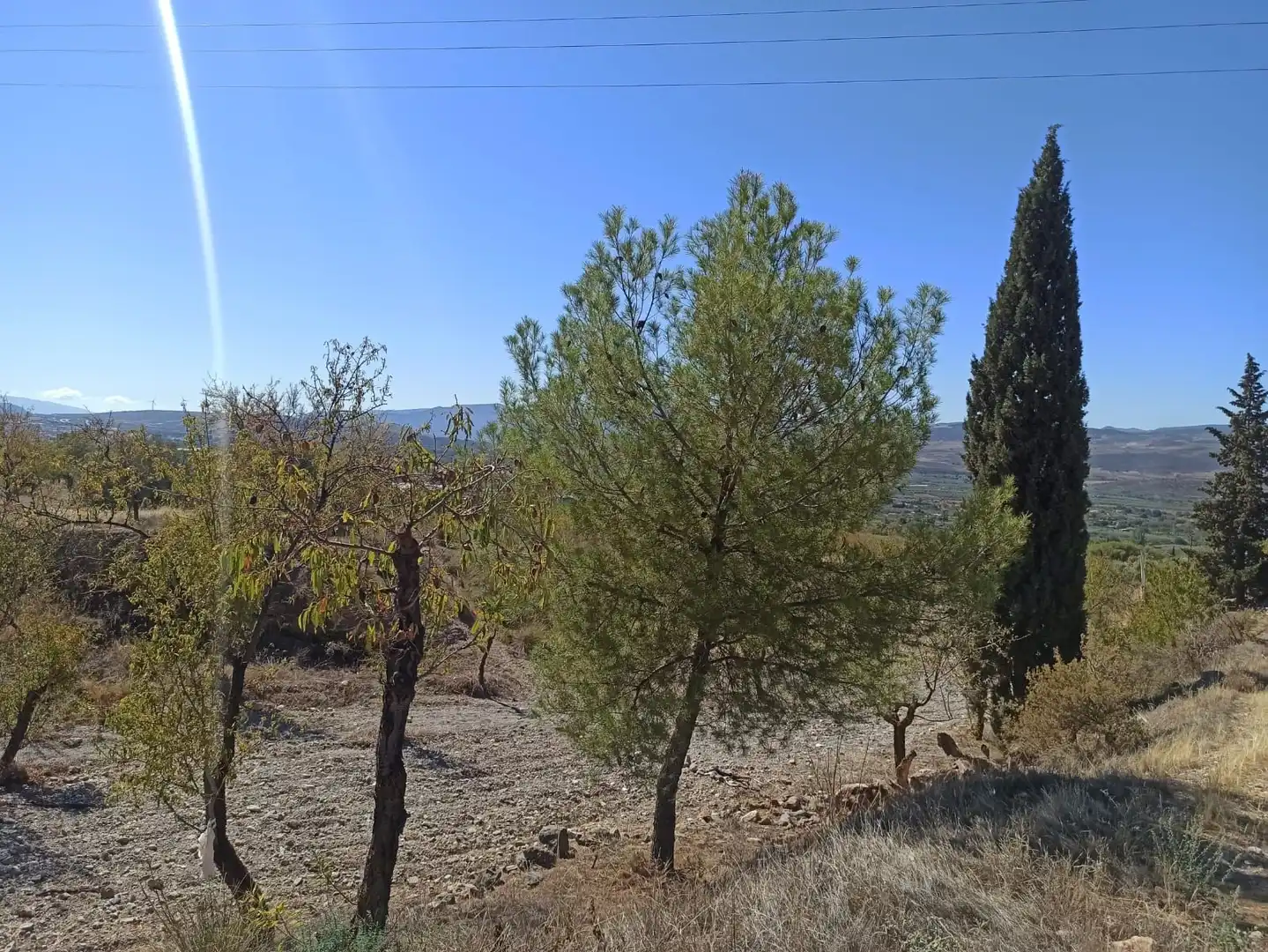 Terreni e lotti in vendita a Padul, imagen 19